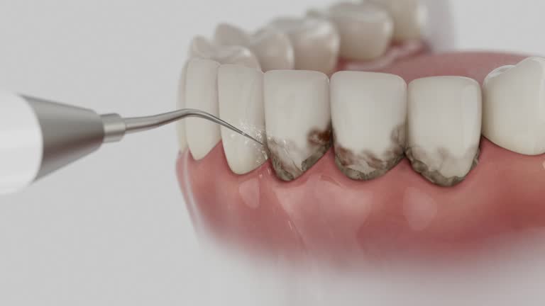 Reliable Dental contractor in Bressler, PA by Dentist Open Now